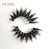 DESIRE | 3D Lash Kit